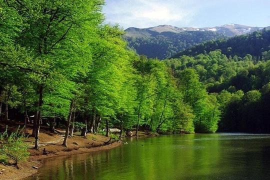 Petit Dilijan Exterior foto